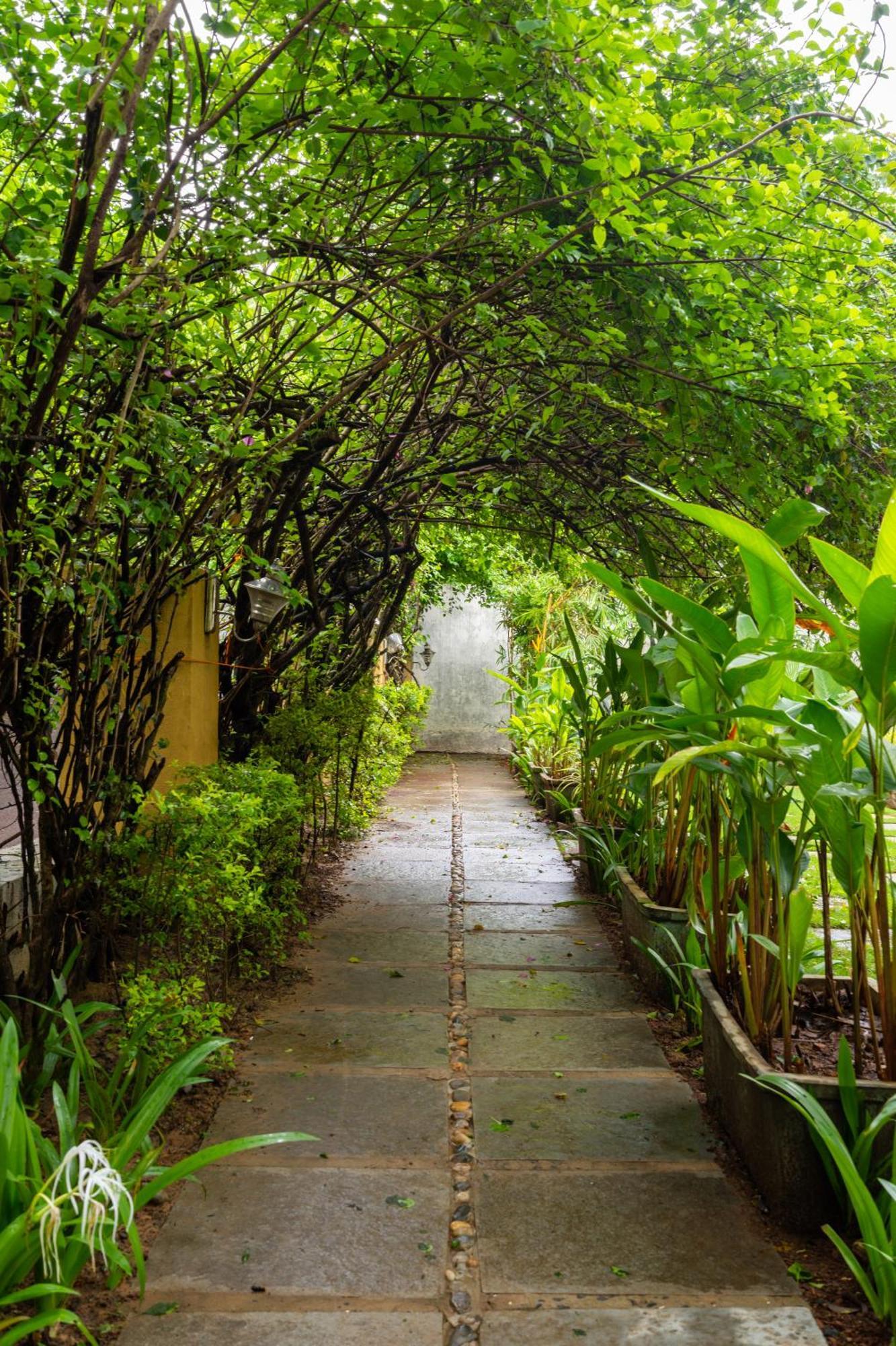 Готель The Banyan Soul Анжуна Екстер'єр фото